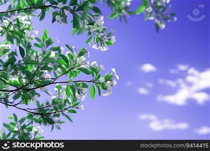Beautiful Nature View of Flowering Plant with Leaves in Blue Sky