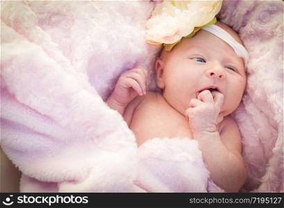 Beautiful Newborn Baby Girl Laying Peacefully in Soft Pink Blanket.
