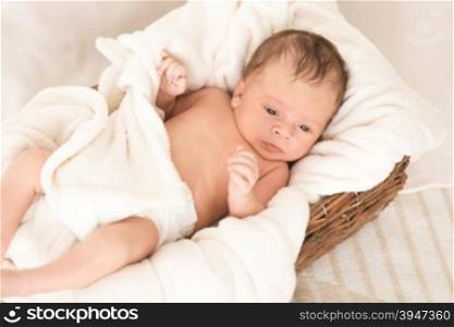 Beautiful newborn baby lying in big wicker basket under blanket