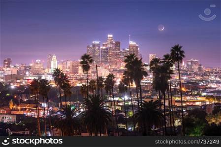 Beautiful night of Los Angeles downtown and palm trees in foreground