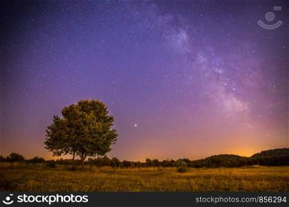 Beautiful night scenery with stars, meadow and a tree, warm purple colors