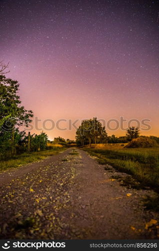 Beautiful night scenery with stars, meadow and a tree, warm purple colors