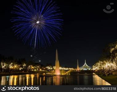 Beautiful night view of fireworks in the park with illuminated fountain
