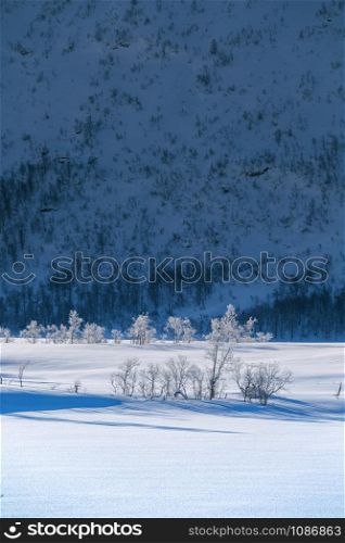 beautiful Norwegian landscape at the Lofoten Islands. Norway. winter morning in the mountains. trees in hoarfrost