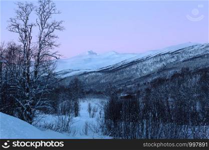 beautiful Norwegian landscape. Norway. winter morning in the mountains. trees in hoarfrost