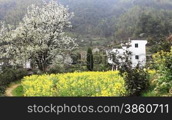 beautiful old village in China