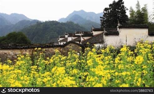 beautiful old village in China