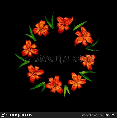 Beautiful orange flowers lilies arranged in the form of a round frame isolated on a black background