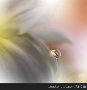 Beautiful Orange Nature Background.Colorful Artisitic Wallpaper.Natural Macro Photography.Beauty in Nature.Creative Floral Art.Tranquil nature closeup view.Blurred space for your text.Abstract Spring Flowers.