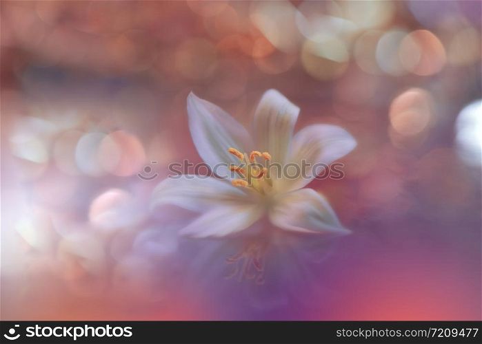 Beautiful Orange Nature Background.Floral Art Design.Soft Focus.Macro Photography.Floral abstract pastel background with copy space.Blurred space for your text.Coral Color 2019.Trend,trendy.Creative Artistic Wallpaper.