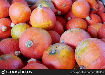 beautiful orange pumpkins on the market