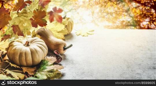 Beautiful outdoor autumn background with pumpkin, fall leaves and sunlight at grey concrete table and yellow foliage. Front view with copy space.