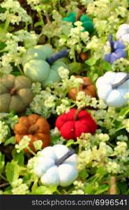 Beautiful painting of colorful pumpkins in garden make from use filter effect on real photo, group of handmade product from knit art on white tiny flowers in nature scene make artistic background