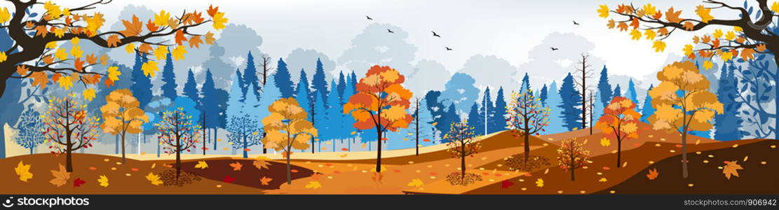 Beautiful panorama landscapes of Autumn forest field with bright light on sunny day, Vector illustration of autumn landscape mountains and maple leaves falling from trees, Natural background