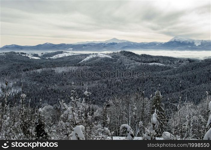 beautiful panorama of mountain forests, the theme of mountain sports, skiing, Bukovel, Carpathians, Ukraine