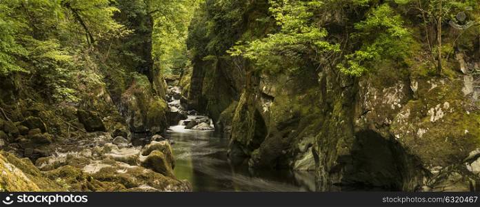 Beautiful panoramic landscape with river flowing through deep sided gorge with vibrant green foliage