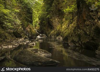 Beautiful panoramic landscape with river flowing through deep sided gorge with vibrant green foliage