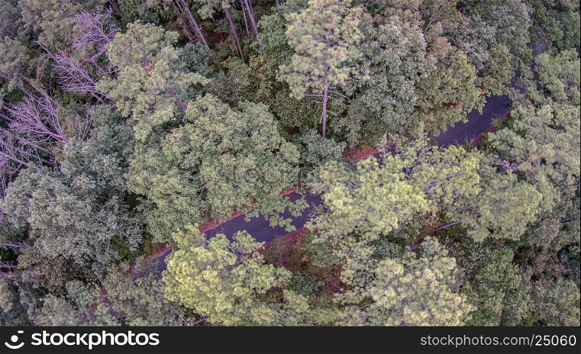 Beautiful panoramic photo over the tops of thick tree forest. Aerial view.