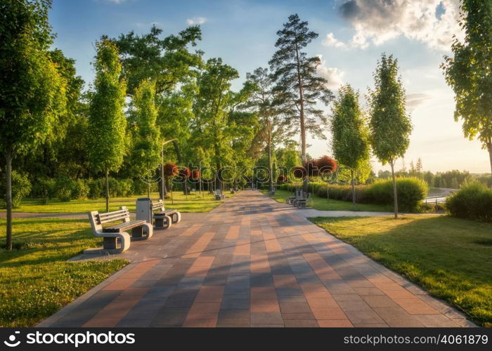 Beautiful park in Bucha, Ukraine before war. Colorful landscape with green trees, sidewalk, benches, green grass, people at sunset in summer. Woods at sunny evening. Nature. Walkway in blooming park
