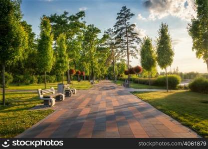Beautiful park in Bucha, Ukraine before war. Colorful landscape with green trees, sidewalk, benches, green grass, people at sunset in summer. Woods at sunny evening. Nature. Walkway in blooming park