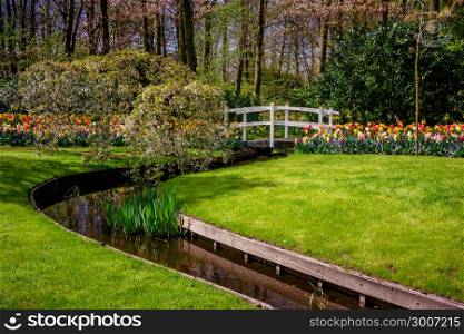 Beautiful park. Landscaped Formal Garden