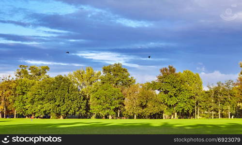 Beautiful park scene. panorama of green city park