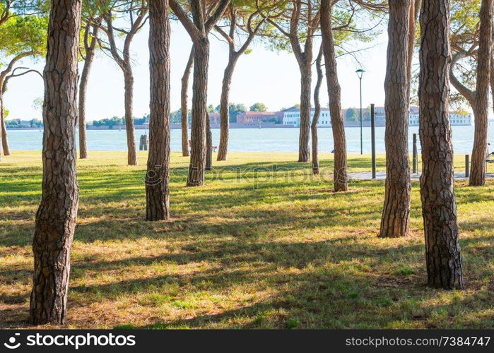 Beautiful park with green lawn, bench an view to city. Venice, Italy