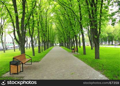 Beautiful park with green trees. Beautiful city park with path and green trees