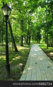Beautiful park with many green trees and path. Beautiful city park with path and green trees and path
