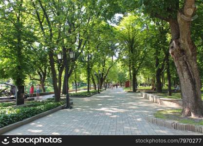 Beautiful park with many green trees. Beautiful city park with path and green trees