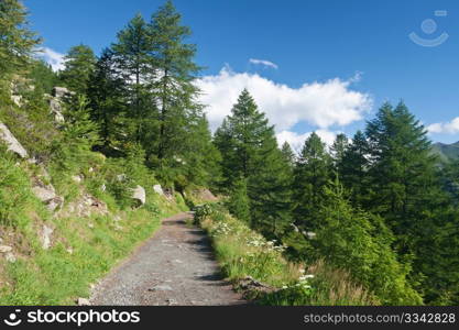 beautiful path in Italian Alps with mont Blanc on background