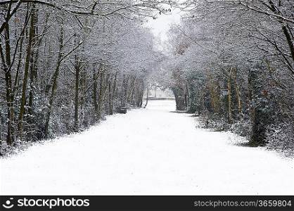 Beautiful path through forest with snow on ground and Autumn color on trees