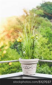 Beautiful patio flowers pot with pampas grass and green lily on balcony or terrace in sunset light. Urban container gardening, flowers patio pot ideas