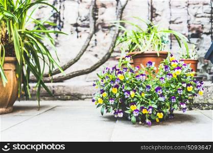 Beautiful patio with flowerpots and flowers, container planting and gardening, outdoor