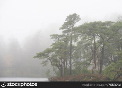 Beautiful peaceful Autumn Fall landscape of woodland and lake with mist fog during early morning