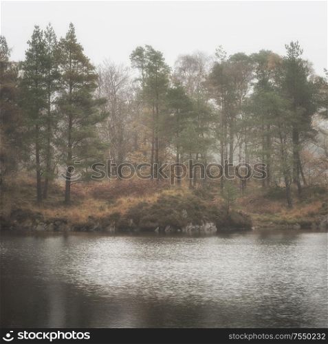 Beautiful peaceful Autumn Fall landscape of woodland and lake with mist fog during early morning