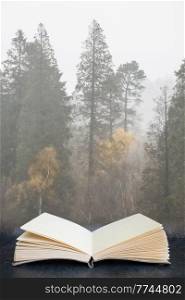 Beautiful peaceful Autumn Fall landscape of woodland with mist fog during early morning coming out of pages in book composite image