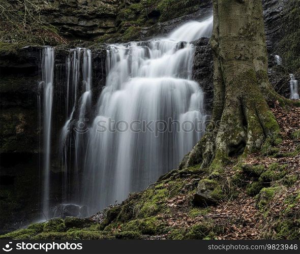 Beautiful peaceful landscape image of Scaleber Force waterfall in Yorkshire Dales in England during Winter morning