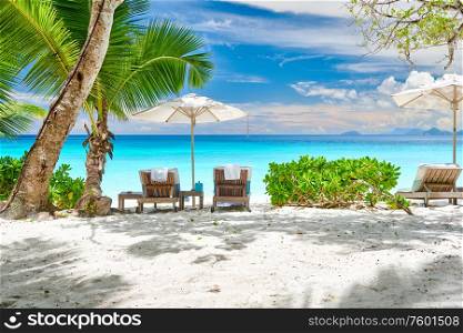 Beautiful Petite Anse beach with palm tree at Seychelles, Mahe