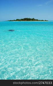 beautiful photo of a maldivian island with a great waterview