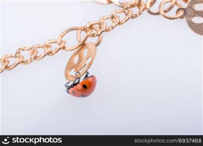Beautiful photo of red ladybug walking on a chain