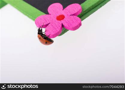 Beautiful photo of red ladybug walking on a fake flower