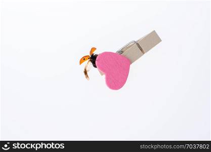 Beautiful photo of red ladybug walking on a pink heart icon