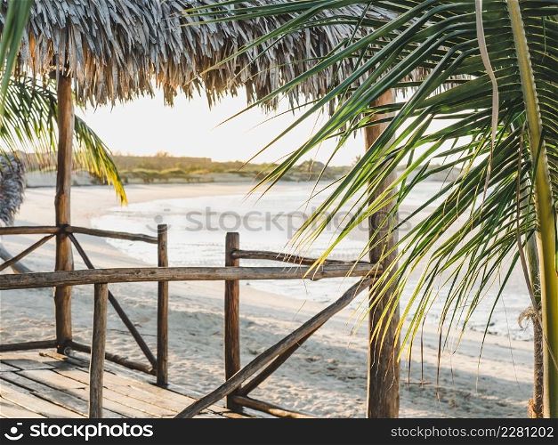 Beautiful photos of deserted beaches and palm trees on the Caribbean coast. Closeup, no people. Leisure and travel concept. Beautiful photos of deserted beaches and palm trees