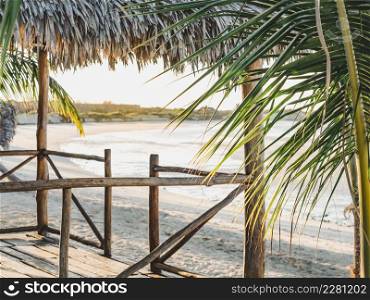 Beautiful photos of deserted beaches and palm trees on the Caribbean coast. Closeup, no people. Leisure and travel concept. Beautiful photos of deserted beaches and palm trees