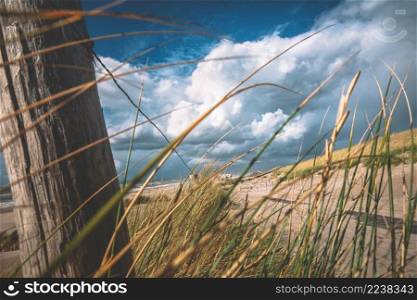 Beautiful picture with a view over the Dutch coast strip with sand dunes, wide beaches and a sunny, windy storm day. Waving dune grass in the wind with white and gray storm clouds over dune landscape along the Dutch coast.