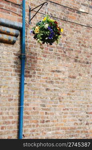 beautiful picturesque scene with hanging flowers pot on a brick wall background