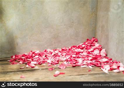 Beautiful Pile of Rose Petals in Corner of Textured Room
