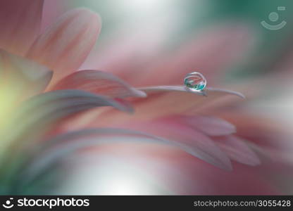 Beautiful Pink Nature Background.Amazing Spring Gerbera Flower.Water Drop.Macro Photo of Magic Flowers.Border Art Design.Extreme close up Photography.Conceptual Abstract Image.Fantasy Floral Art.Creative Artistic Wallpaper.Web Banner.Colorful.