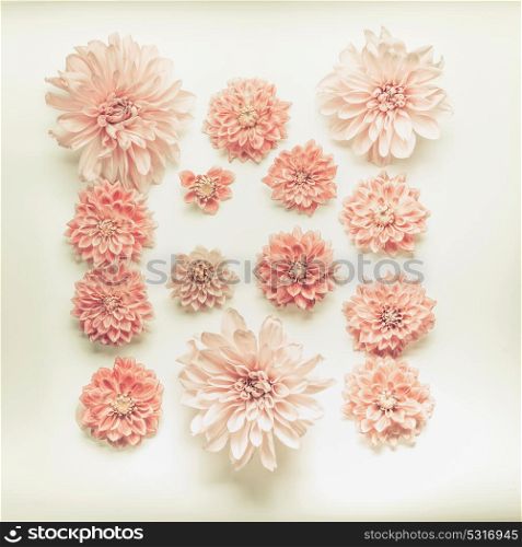 Beautiful pink pastel flowers composing on beige background, top view, flat lay.